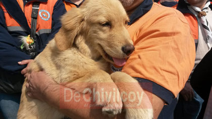 Defensa Civil cuenta con un perro de búsqueda y rescate de personas vivas