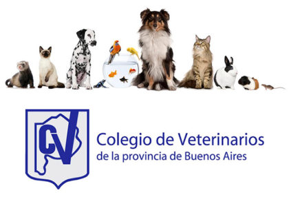 Colegio de veterinarios: Denuncia obligatoria de enfermedades zoonóticas Colegio de veterinarios: Denuncia obligatoria de enfermedades zoonóticas