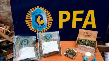 La Policía Federal Argentina decomisó un vivero de marihuana