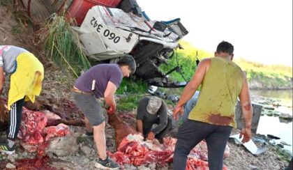 <span style='color:#f000000;font-size:14px;'>REGIONALES</span><br>Luego de volcar camión jaula con vacas, los vecinos las faenaron a todas