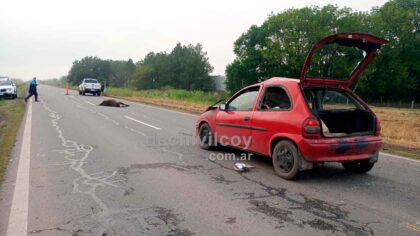 <span style='color:#f000000;font-size:14px;'>LOCALES</span><br>Siniestro vial en Ruta 30: Un auto colisiona con un caballo y deja heridos a sus ocupantes