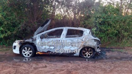 <span style='color:#f000000;font-size:14px;'>LOCALES</span><br>Un Peugeot 308 se incendió y propagó el fuego a cultivos cercanos