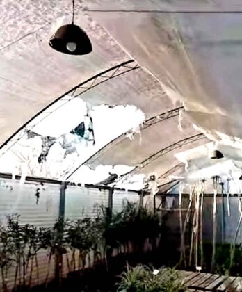 <span style='color:#f000000;font-size:14px;'>LLAMADO A BOMBEROS</span><br>Negligencia vecinal causa un incendio en un vivero