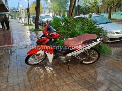 <span style='color:#f000000;font-size:14px;'>SINIESTRO VIAL</span><br>Una octogenaria sufrió graves heridas en una pierna al ser colisionada por una moto item-thumbnail