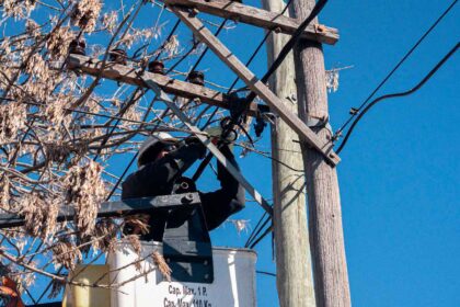 <span style='color:#f000000;font-size:14px;'>LOCALES</span><br>EDEN realizó importante renovación de la red eléctrica item-thumbnail