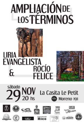 “Ampliación de los términos”: en noviembre se presentará la muestra de Liria Evangelista y Rocío Felice item-thumbnail